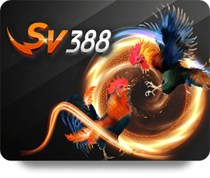 Hướng dẫn chi tiết tham gia W88 Casino Live dễ dàng